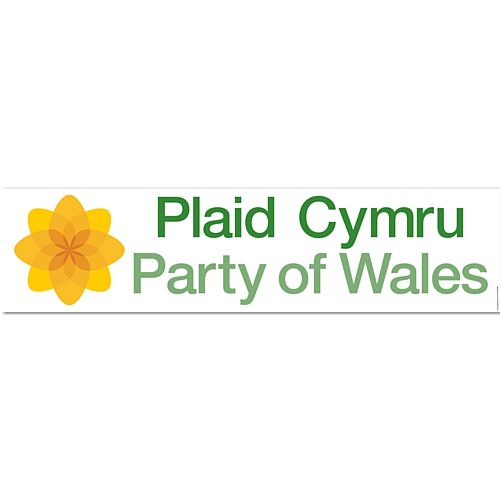 Plaid Cymru Party Banner - 1.2m