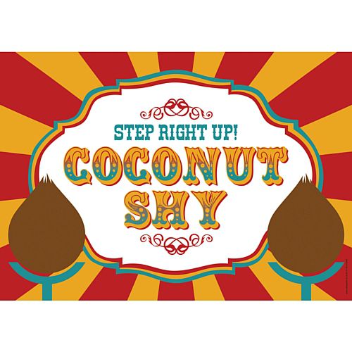 Fundraising Coconut Shy Sign - A3