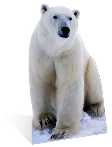 Polar Bear Cardboard Cutout - 1.76cm