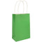 Green Paper Party Bags - 21cm - Each