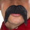 Big and Bushy Gringo Mexican Moustache