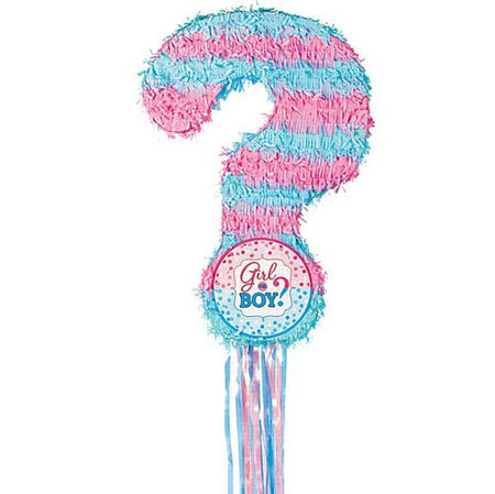 Gender Reveal Baby Shower Pull Pinata