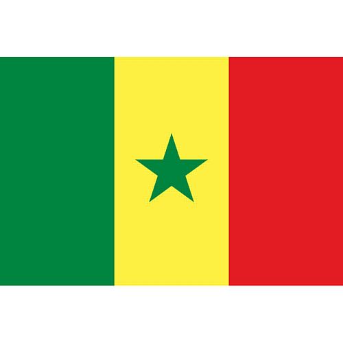 Senegal Polyester Fabric Flag - 5' x 3'