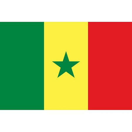 Senegal Polyester Fabric Flag - 5' x 3'