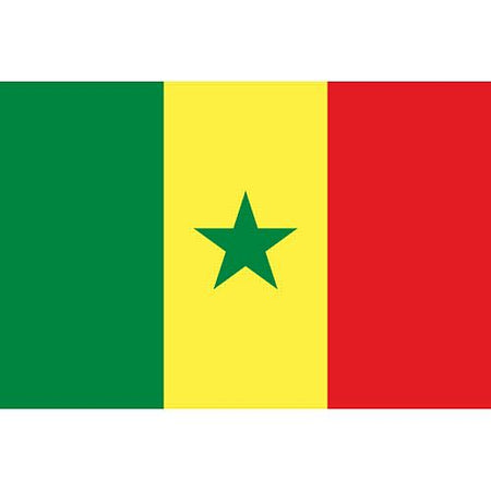 Senegal Polyester Fabric Flag - 5' x 3'