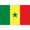 Senegal Polyester Fabric Flag - 5' x 3'