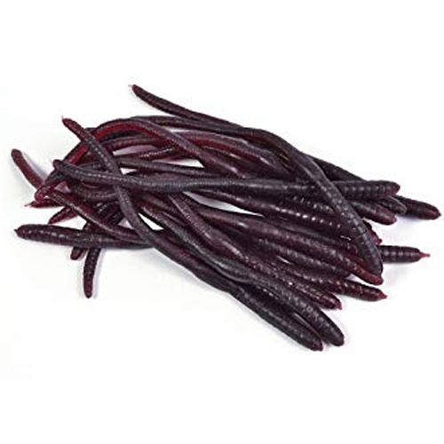 Rubber Worms - Pack of 20