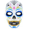 Day Of The Dead Plastic Mask