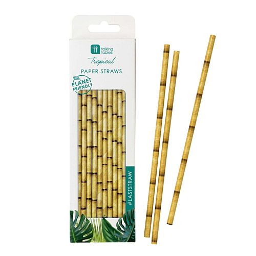 Fiesta Bamboo Paper Straws - Pack of 30