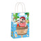 Pirate Paper Party Bags - 22cm - Each