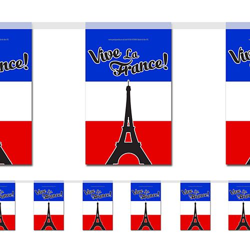 Vive la France French Paper Bunting - 2.4m