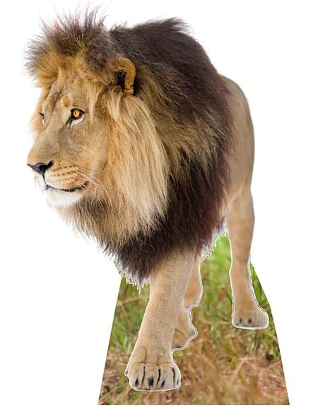 Lion Cardboard Cutout - 1.3m
