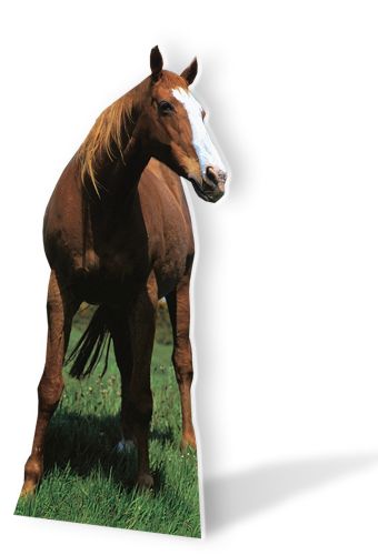 Mustang Western Horse Cardboard Cutout - 1.9m