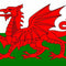 Welsh Polyester Fabric Flag 5ft x 3ft