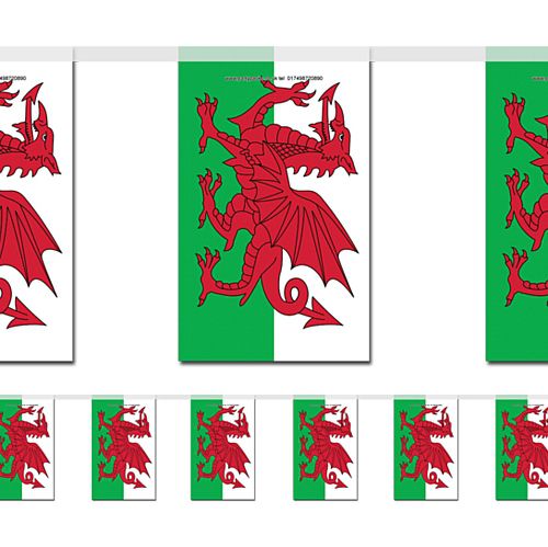 Welsh Flag Bunting 2.4m