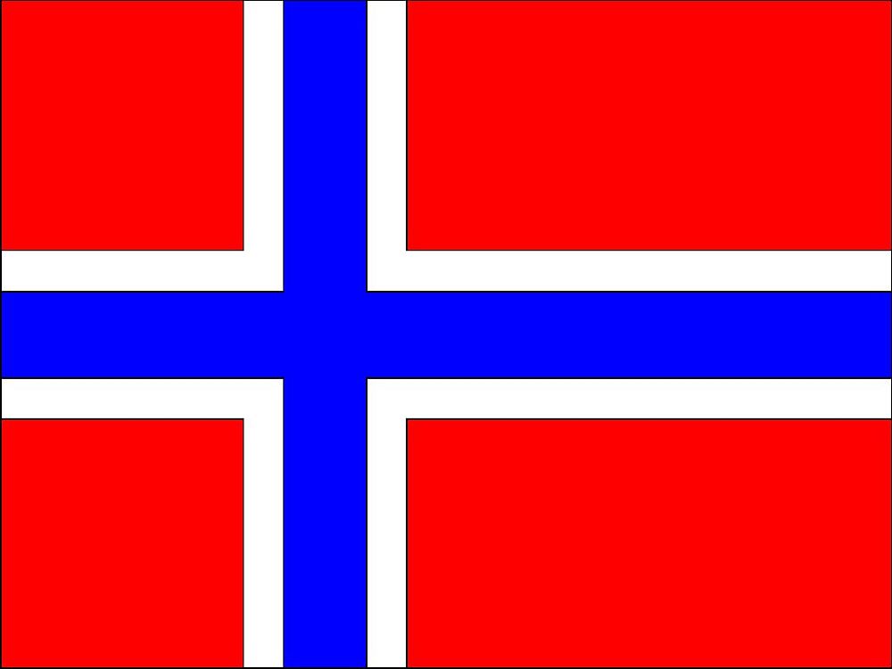 Norway Polyester Fabric Flag 5ft x 3ft