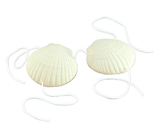 Shell Bra - Large Shell – Party Packs