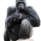 Gorilla Cardboard Cutout - 1.26cm