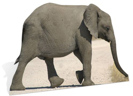 Baby Elephant Cardboard Cutout - 1.14m