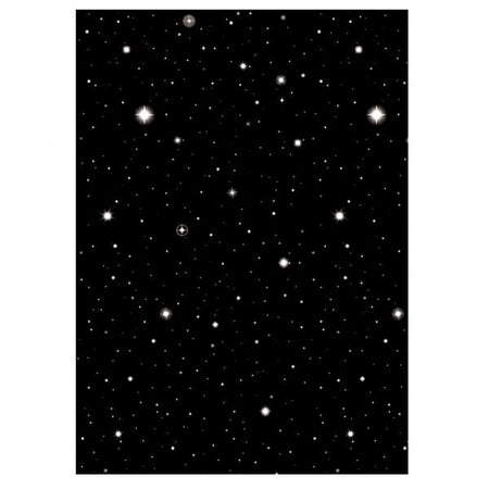 Starry Night Sky Room Setter 12.2m