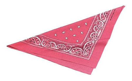 Pink Cowgirl Bandana