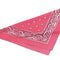Pink Cowgirl Bandana Neck Tie