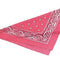 Pink Cowgirl Bandana