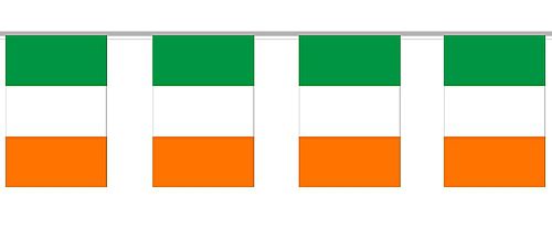 Irish Cloth Flag Bunting 6m