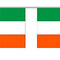 Irish Flag PVC Bunting - 7m