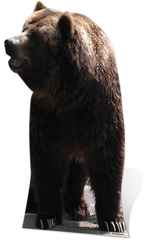 Grizzly Bear Cardboard Cutout - 1.65m