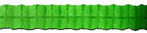 Green Tissue Paper Garland - 4m