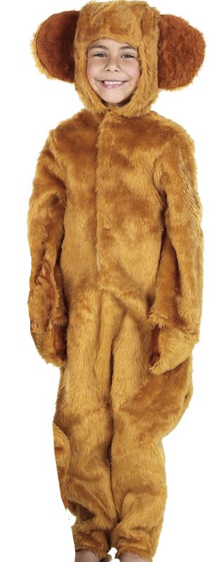 Honey Bear Costume