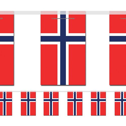 Norway Flag Bunting 2.4m