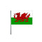 Welsh Small Cloth Flag On A Pole - 9