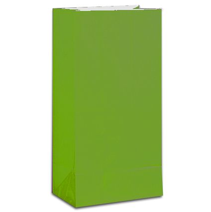 Lime Green Party Bags - Pack of 12