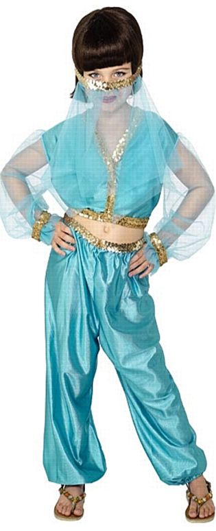 Arabian Princess Costume