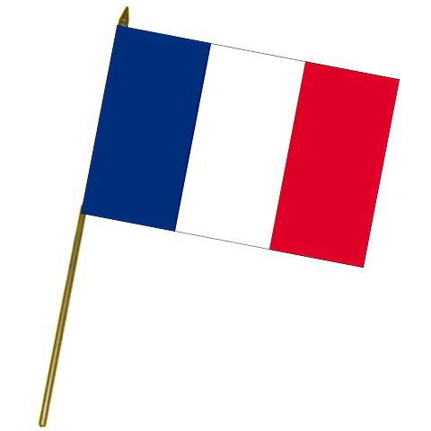 French Cloth Hand Flag - 18"
