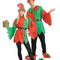 Elf/Santa Helper Costume