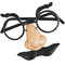 Plastic Childs Disguise Set