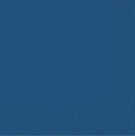 Navy Blue 2 Ply Luncheon Napkins - Pack of 20 - 33cm
