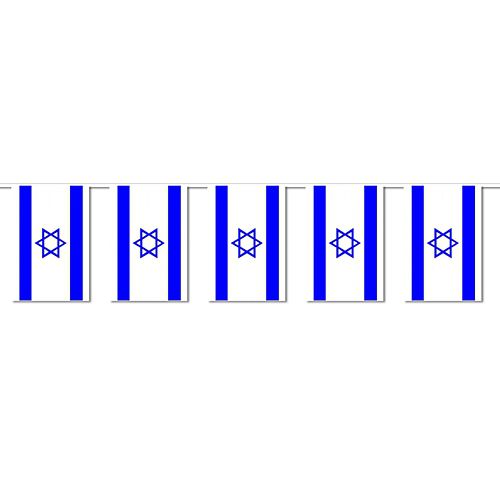 Israel Flag Interior Bunting - 2.4m