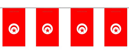 Tunisian Flag Bunting - 2.4m
