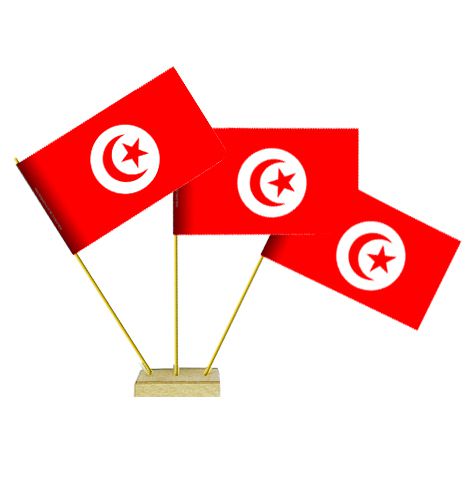 Tunisian Paper Table Flags 15cm on 30cm Pole