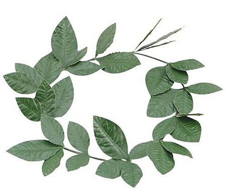 Green Laurel Leaf Headband