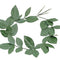 Green Laurel Leaf Headband