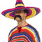 Multicoloured Sombrero