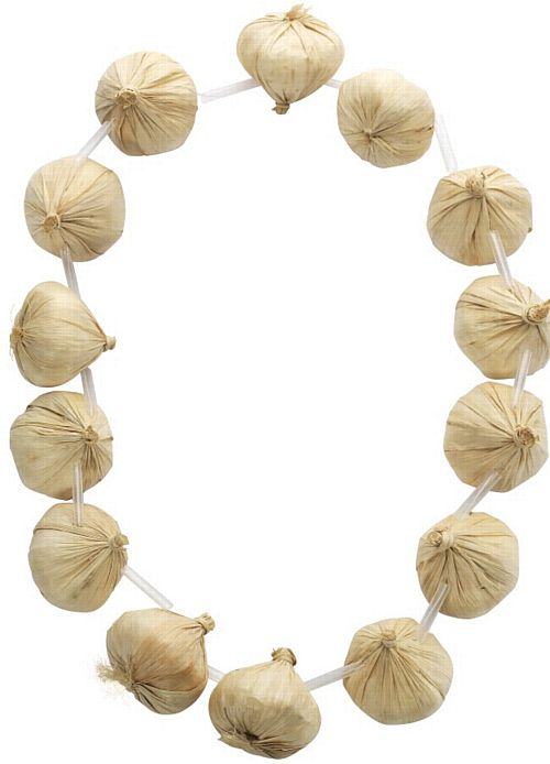 Garlic Neck Garland