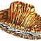 Assorted Animal Print Cowboy Hat - Each