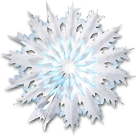 Dip-Dyed Snowflake - 17