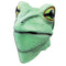 Frog Mask